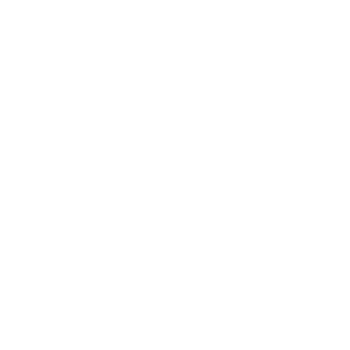 Tw4enty's emblem