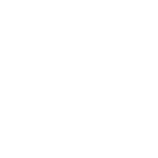 0e1682f9d855448a's emblem