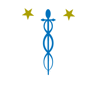 SchwiddyBoy's emblem