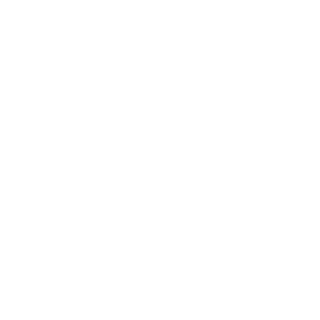 IvanSilin's emblem