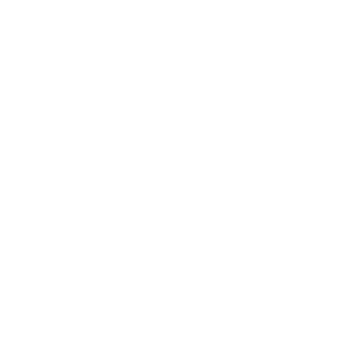 -DN-Labertasche's emblem