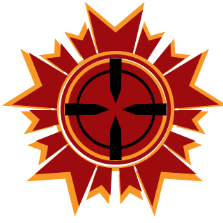 StelttiVKO's emblem