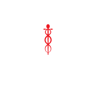 MerlinKoch's emblem