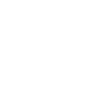 Bl2ckH2wk's emblem