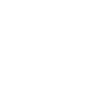 Dmitrius05's emblem