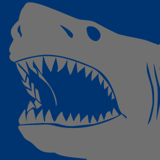 Nikkycentral's emblem