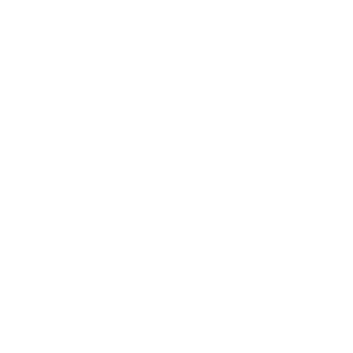 TRIZ_V's emblem