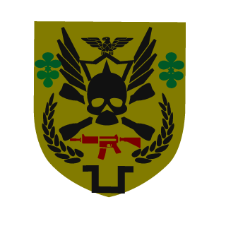 Darklight443's emblem