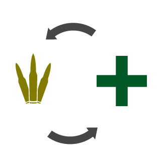 0neBulletFY's emblem