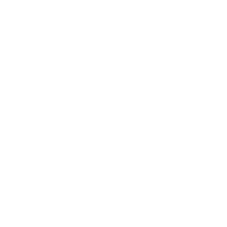 VITOR_D9's emblem