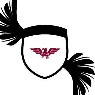 Sqq0's emblem