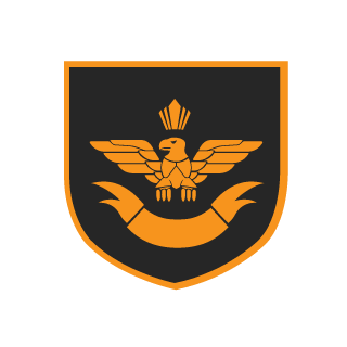 SolidSamFisher's emblem