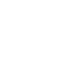Damn_it_Carl_80's emblem