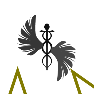 2vmn's emblem