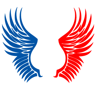 iPxVikings's emblem