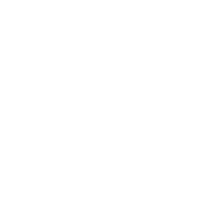 cirno99910's emblem