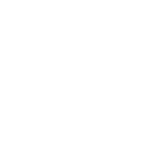 wp_Zeus's emblem