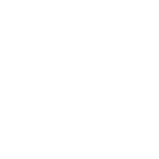 06All's emblem