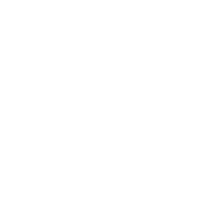 DanyZ64's emblem