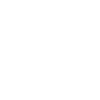 sber_wolfsmile's emblem