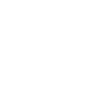 flaylist's emblem