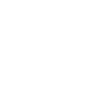 BRODiomond's emblem