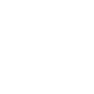 DoraBR's emblem