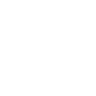 AVIMIVA's emblem
