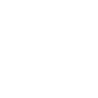 wintertiming's emblem