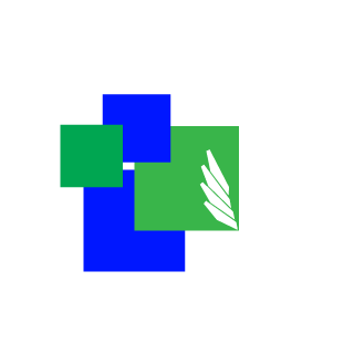LukasJca's emblem