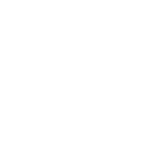 BrFOX-Patinhas's emblem