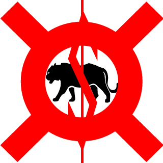 castro112233's emblem
