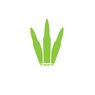 lindhdavid's emblem