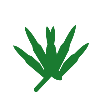 Yarker14's emblem