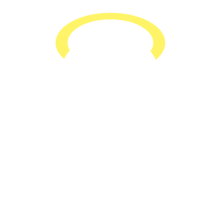 IIBLUEFALCONII's emblem