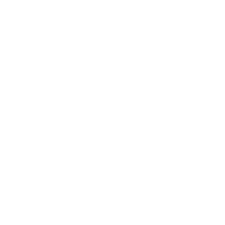 RenanKalashnikov's emblem