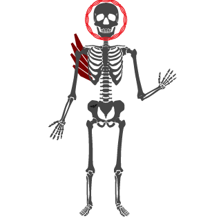 FrailWrld's emblem