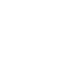 Davemaster21's emblem