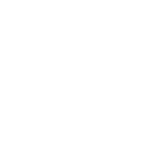 FilipeSilvestr3's emblem
