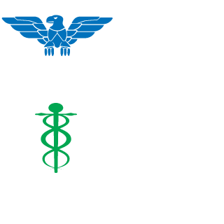 lCZlzerious's emblem