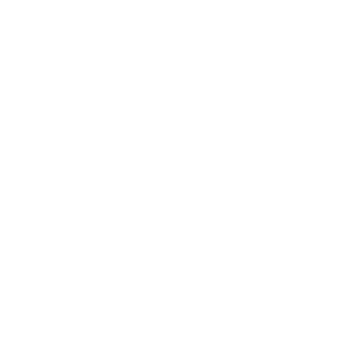 Ragnar-Ribeiro's emblem