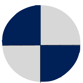 Silentavenger919's emblem