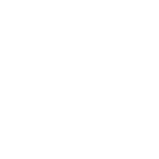 UsualValkyrie's emblem