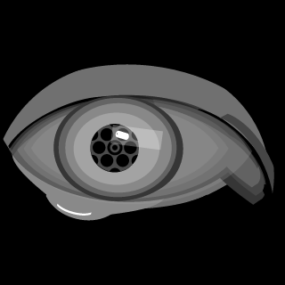 PINNVCLE_tv's emblem