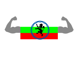 veselinmaslarov1's emblem