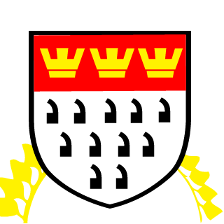 CraftingNico's emblem
