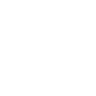 TheKwonKicker's emblem