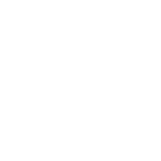 i333's emblem
