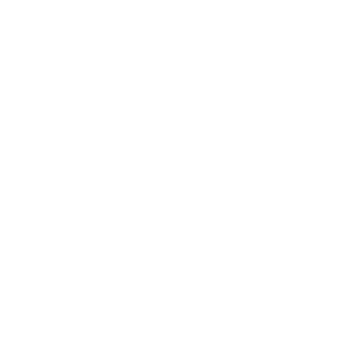 FuryX1013's emblem