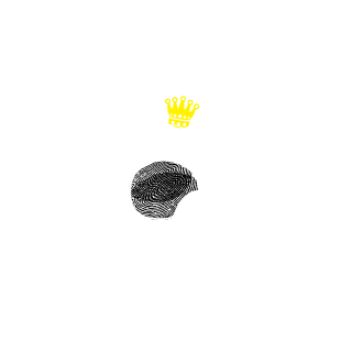 TrueProCraft's emblem